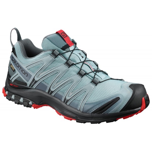 Salomon XA Pro 3D GTX Lead/Black/Barbados