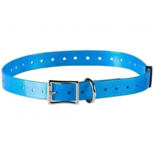 Collar Canino Numaxes Azul