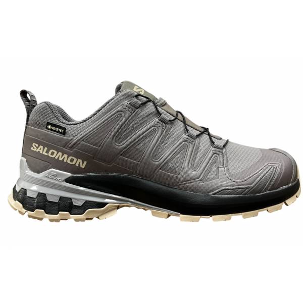 Zapatillas Salomon XA PRO 3D V9 GTX W...