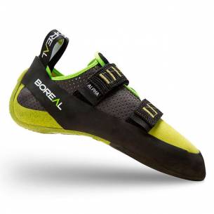 Pies de Gato Boreal Alpha