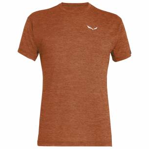 Camiseta Salewa Puez...