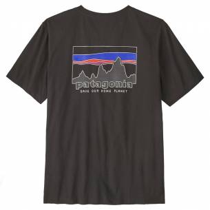 Camiseta Patagonia M's 73...