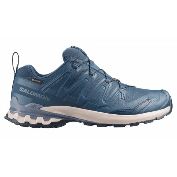 Zapatillas Salomon XA PRO 3D V9 GTX...