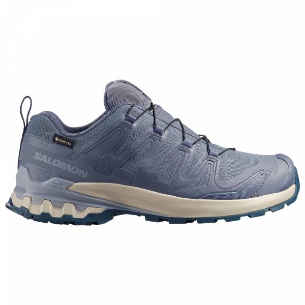Zapatillas Salomon XA PRO 3D V9 GTX W...