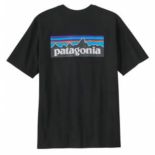 Camiseta Patagonia M´S P-6...
