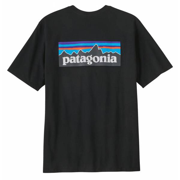 Camiseta Patagonia M´S P-6...