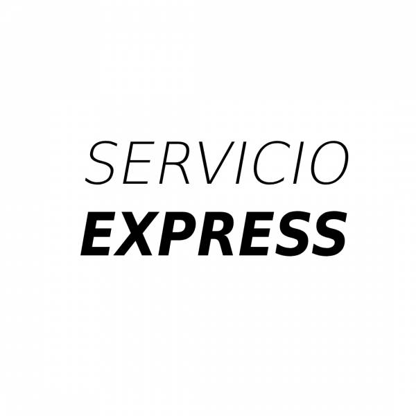 SERVICIO EXPRESS